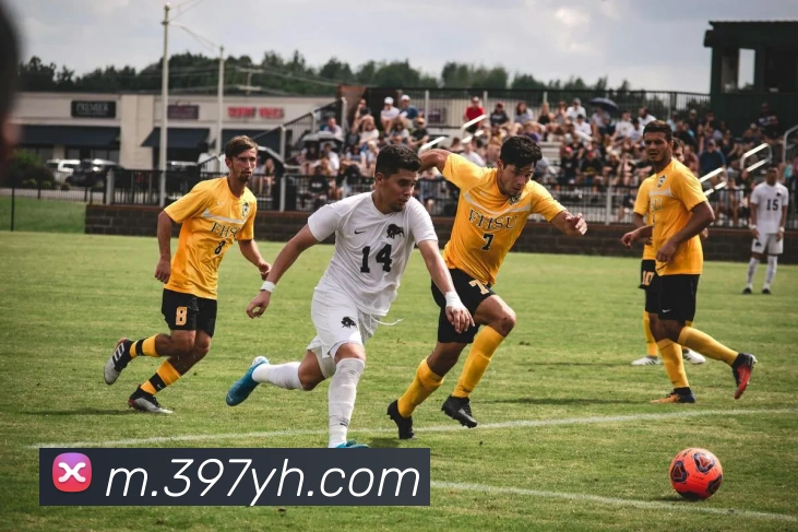 电竞直播专区